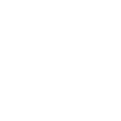 VinFast